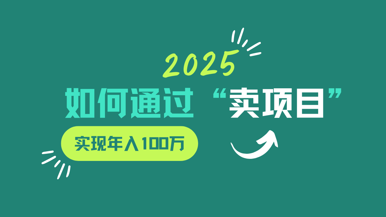 2025年如何通过“卖项目”实现年入100w_菜菜笔记