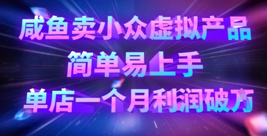 咸鱼卖小众虚拟产品，简单易上手，单店一个月利润破W_菜菜笔记