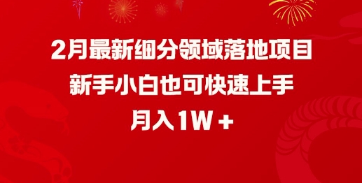 2月最新细分领域落地项目，新手小白也可快速上手，月入1W_菜菜笔记