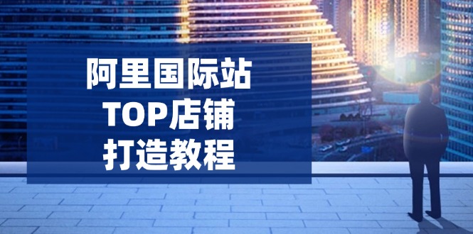 阿里国际站TOP店铺打造教程：涵盖平台到高阶，解决运营难题，提升询盘_菜菜笔记