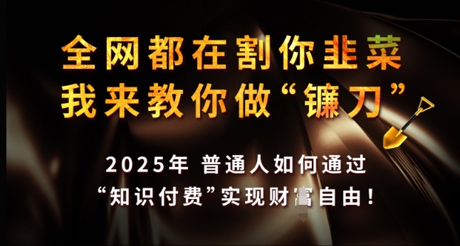 全网都在割你韭菜，我来教你做镰刀，2025年普通人如何通过 知识付费 实现财F自由【揭秘】_菜菜笔记