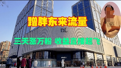 蹭胖东来流量，三天涨万粉，收益直接起飞_菜菜笔记