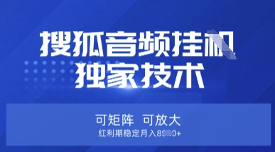 【搜狐音频挂G】独家技术，可矩阵可放大，红利期稳定月入8k【揭秘】_菜菜笔记