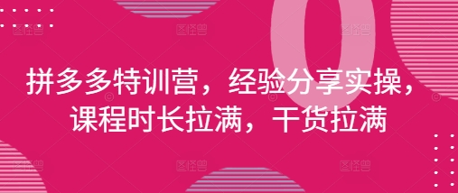拼多多特训营，经验分享实操，课程时长拉满，干货拉满(更新25年4月)_菜菜笔记