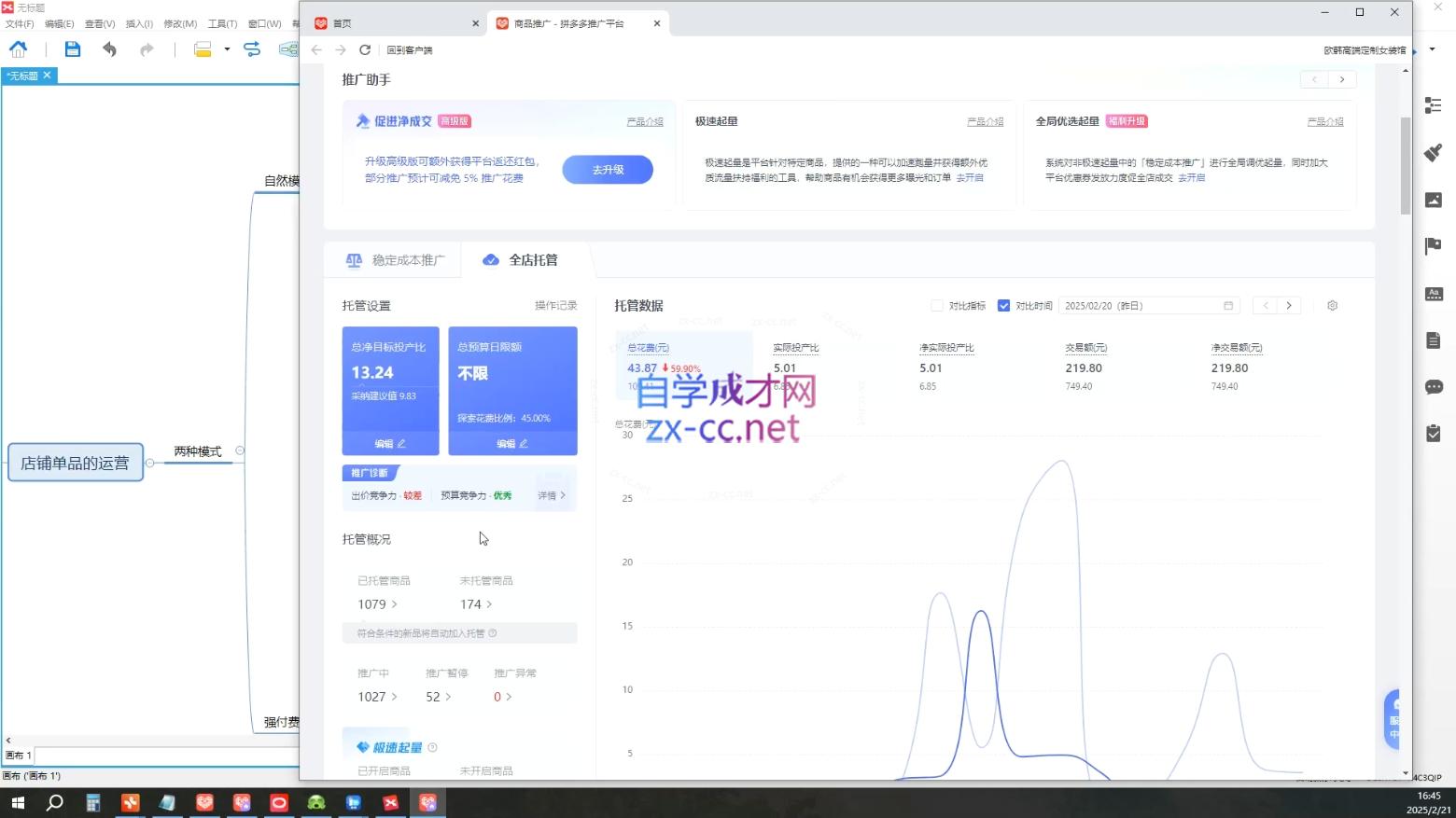齐论拼多多vip课程_菜菜笔记