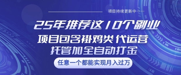 25年推荐这10个副业项目包含褂鸡类、代运营托管类、全自动打金类【揭秘】_菜菜笔记