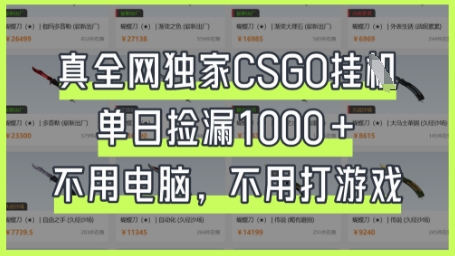 真全网独家CSGO挂G，单日捡漏1k+【揭秘】_菜菜笔记