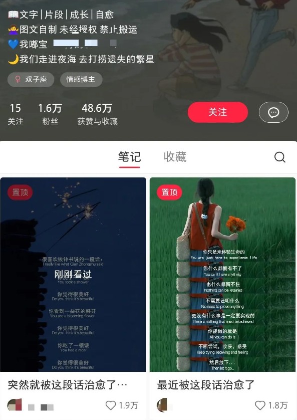 小红书治愈文案图文笔记，零门槛，一分钟制作轻松制作爆款作品月入万元_菜菜笔记