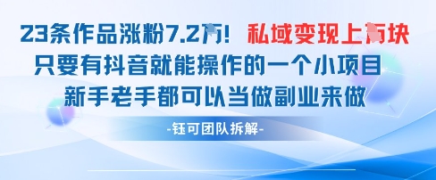 抖音私域项目23条作品涨粉7.2W，私域变现1W_菜菜笔记