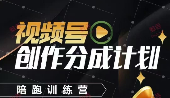 视频号创作分成计划陪跑训练营，手把手教会你如何制作视频，细水长流型项目_菜菜笔记