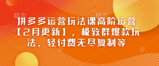 拼多多运营玩法课高阶运营【2月更新】，极致群爆款玩法，轻付费无尽复制等_菜菜笔记