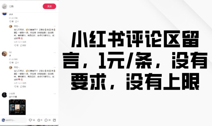 小红书评论区留言，1元条，没有要求，没有上限_菜菜笔记