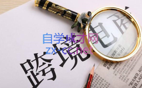 帮课大学VIP会员课程(更新2025年)_菜菜笔记
