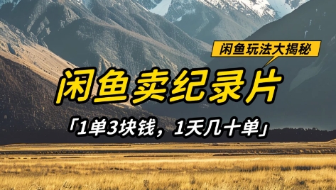 闲鱼卖纪录片1单3块钱，1天几十单，项目稳定有潜力_菜菜笔记