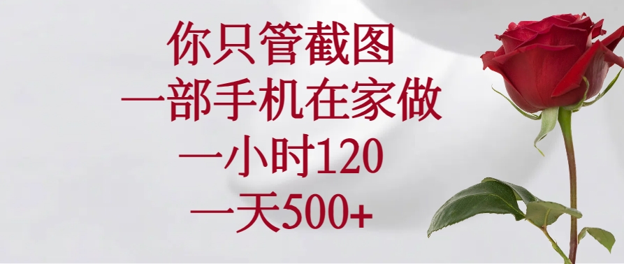 你只管截图，一部手机在家做，一小时120，一天500+_菜菜笔记