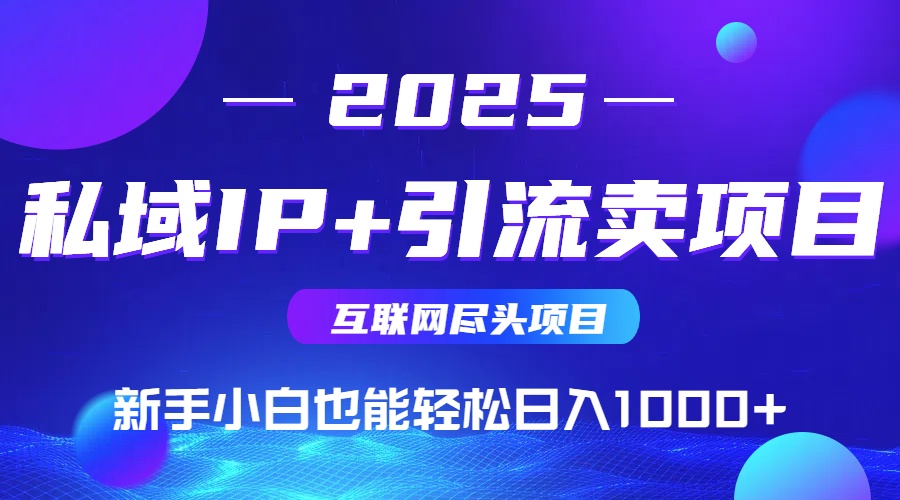 私域IP+卖项目，普通人小白也能轻松实现日入1000+_菜菜笔记