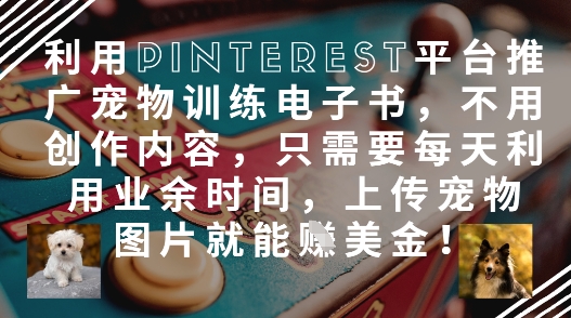利用Pinterest平台推广宠物训练电子书，不用创作内容，只需要每天利用业余时间，上传宠物图片就能挣美金!_菜菜笔记