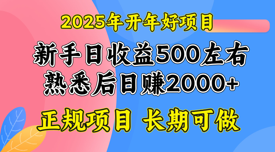 2025开年好项目，单号日收益2000左右_菜菜笔记