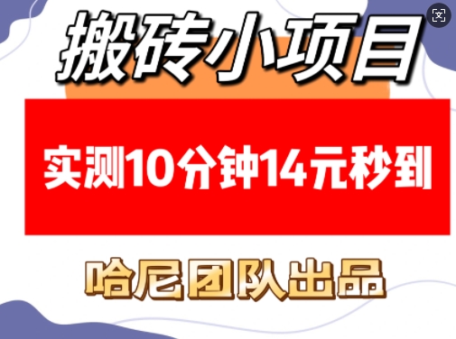 搬砖小项目，实测10分钟14元秒到，每天稳定几张(赠送必看稳定)_菜菜笔记