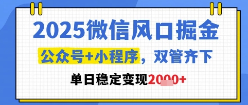 2025微信风口掘金，公众号+小程序双管齐下，单日稳定变现1k+【揭秘】_菜菜笔记