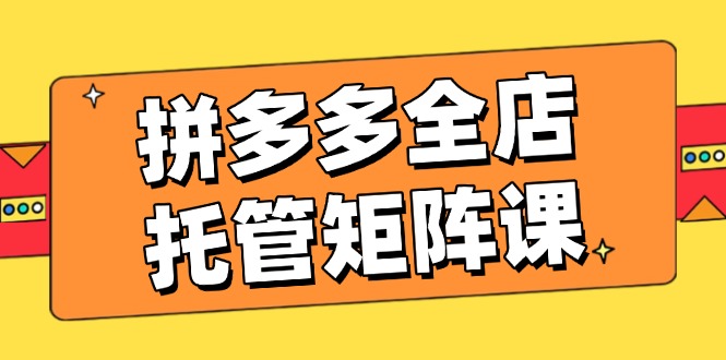 拼多多全店托管矩阵课，盈利动销玩法，高效计划设置，提升店铺效益_菜菜笔记