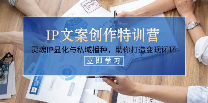 IP文案创作特训营，灵魂IP显化与私域播种，助你打造变现闭环(14节课)_菜菜笔记