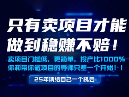 只有卖项目才能做到稳挣不赔，门槛低，更简单，你也可以年入百个W【揭秘】_菜菜笔记