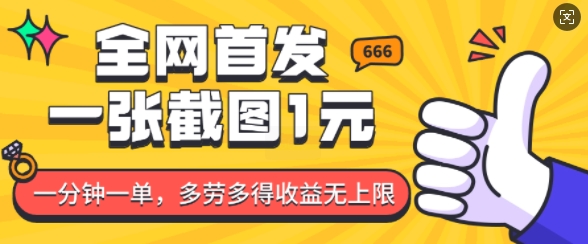 全网首发，一张截图1块钱，一分钟一单，多劳多得，收益无上限_菜菜笔记