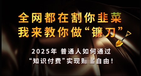 知识付费如何做到月入过W+，2025我来教你做“镰刀”【揭秘】_菜菜笔记