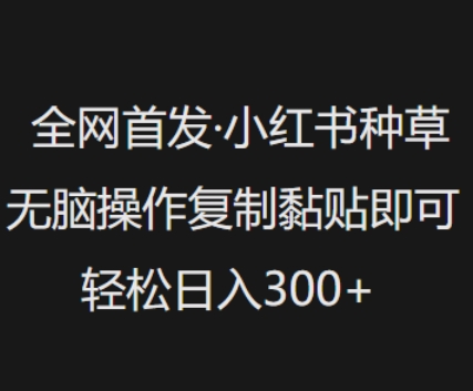 全网首发，小红书种草无脑操作，复制黏贴即可，轻松日入3张_菜菜笔记