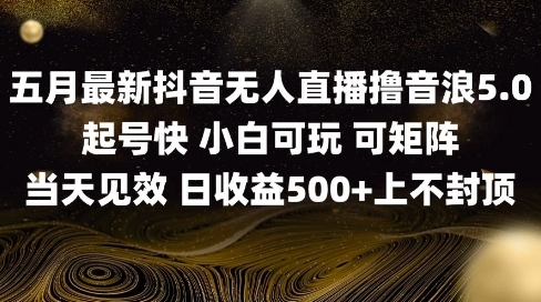 2025五月最新无人直播撸音浪单日产出5张+实操教程【揭秘】_菜菜笔记