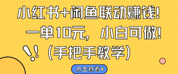 小红书+闲鱼联动挣钱，一单10元，小白可做_菜菜笔记