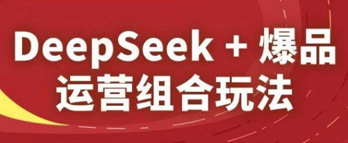 DeepSeek+爆品运营组合玩法，2025淘系精品课_菜菜笔记