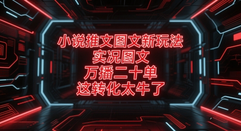 小说推文图文新玩法，实况图文，万播二十单，这转化太牛了！_菜菜笔记