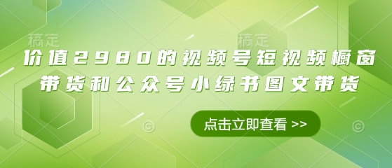 价值2980的视频号短视频橱窗带货和公众号小绿书图文带货_菜菜笔记