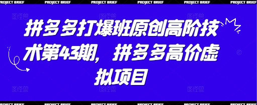 拼多多打爆班原创高阶技术第43期，拼多多高价虚拟项目_菜菜笔记