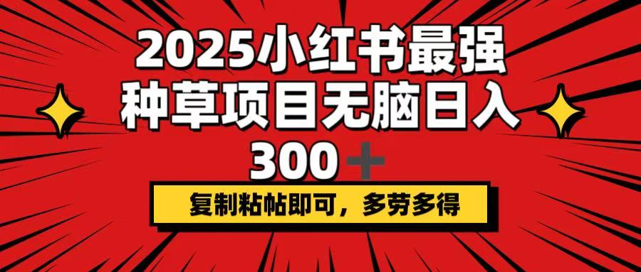2025小红书最强种草项目，无脑日入300+，复制粘帖即可，多劳多得_菜菜笔记