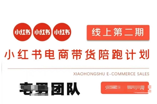 小红书电商带货课2期，月利润20个的小红书电商的有货源，无货源，虚拟产品，付费投流等整套玩法_菜菜笔记