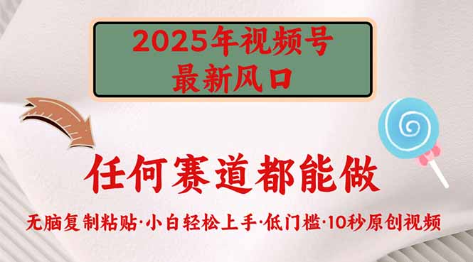 2025年视频号新风口，低门槛只需要无脑执行_菜菜笔记