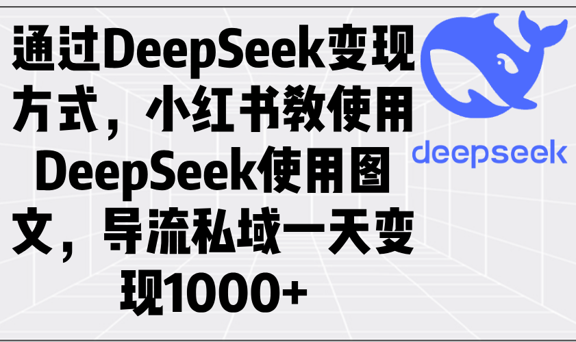 通过DeepSeek变现方式，小红书教使用DeepSeek图文，导流私域一天变现1000+_菜菜笔记