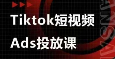 Ads视频投放课，tiktok短视频广告投放课_菜菜笔记