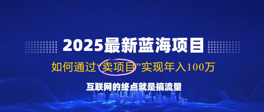 2025最新蓝海项目，零门槛轻松复制，月入10万+，新手也能操作！_菜菜笔记