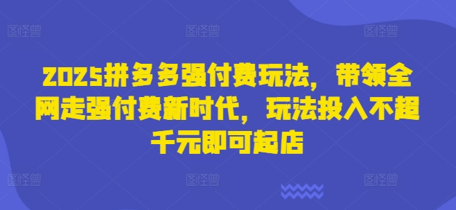 2025拼多多强付费玩法，带领全网走强付费新时代，玩法投入不超千元即可起店_菜菜笔记