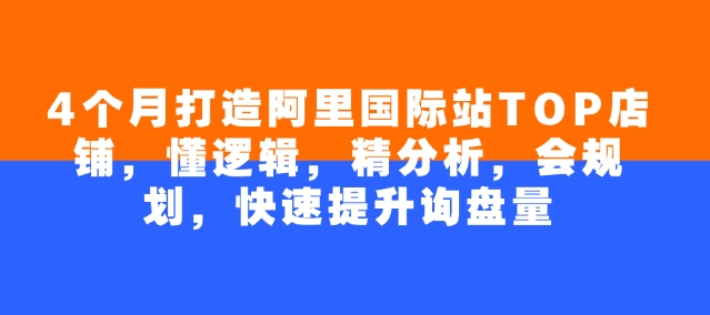 4个月打造阿里国际站TOP店铺，懂逻辑，精分析，会规划，快速提升询盘量_菜菜笔记