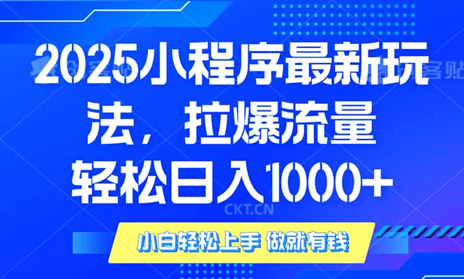 2025年小程序最新玩法，流量直接拉爆，单日稳定变现1000+_菜菜笔记