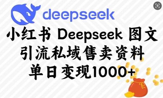 小红书Deepseek图文引流私域售卖资料，单日变现多张_菜菜笔记