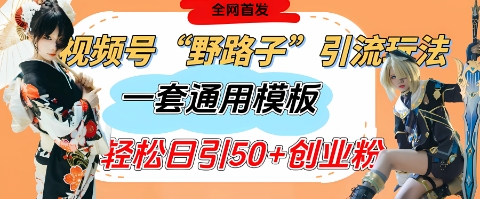 视频号“野路子”玩法，评论区疯狂截流，一套模板单日单号引流50+创业粉_菜菜笔记