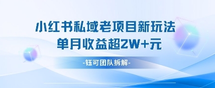 小红书私域项目新玩法，单月变现过W+_菜菜笔记