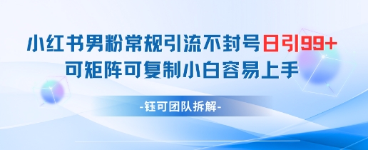 小红书男粉常规引流不封号日引99+变现简单 可矩阵可复制小白容易上手_菜菜笔记