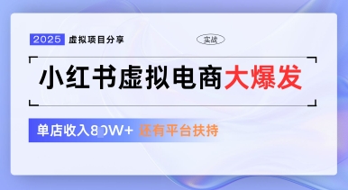 小红书虚拟电商项目，平台大力免费流量扶持，低门槛1拖3玩法_菜菜笔记